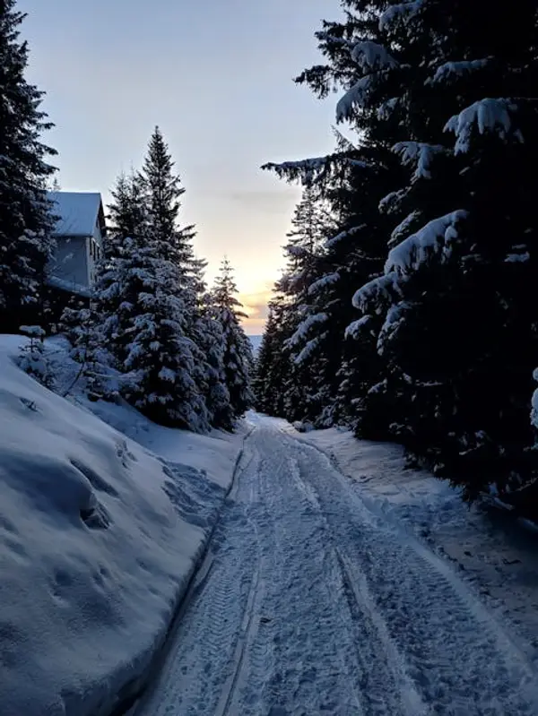 solnedgang over fjellvei