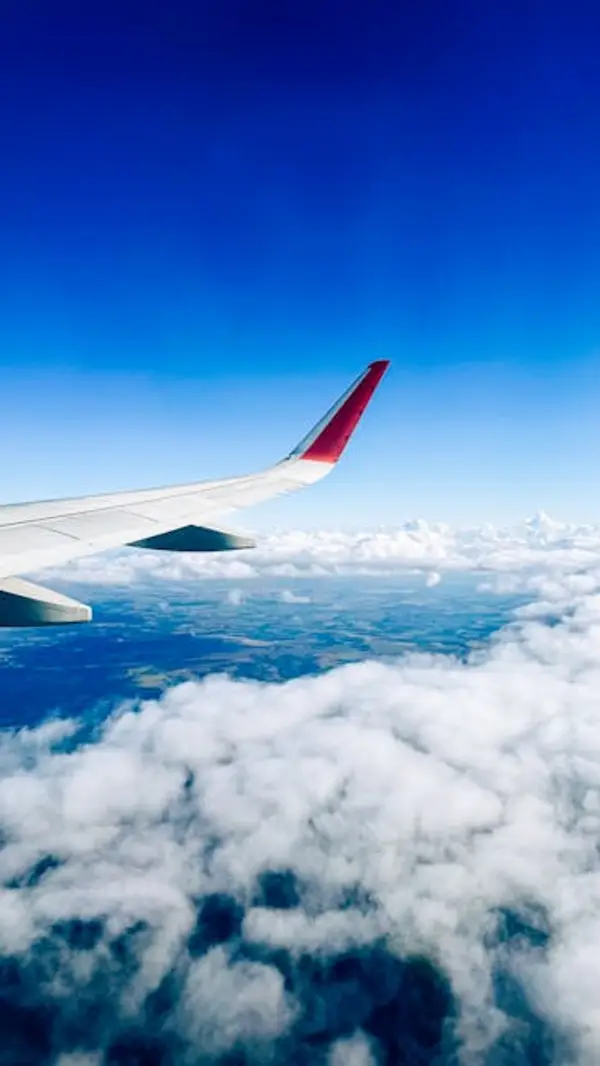 Reise med fly
